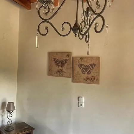 Xenonas Vasilikou Pensión 3*