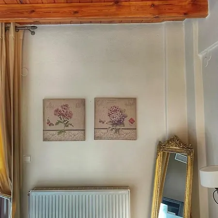 Xenonas Vasilikou Pensión