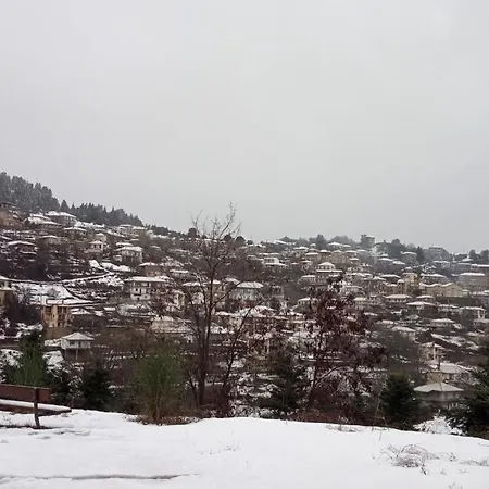 Xenonas Vasilikou Valtessiniko